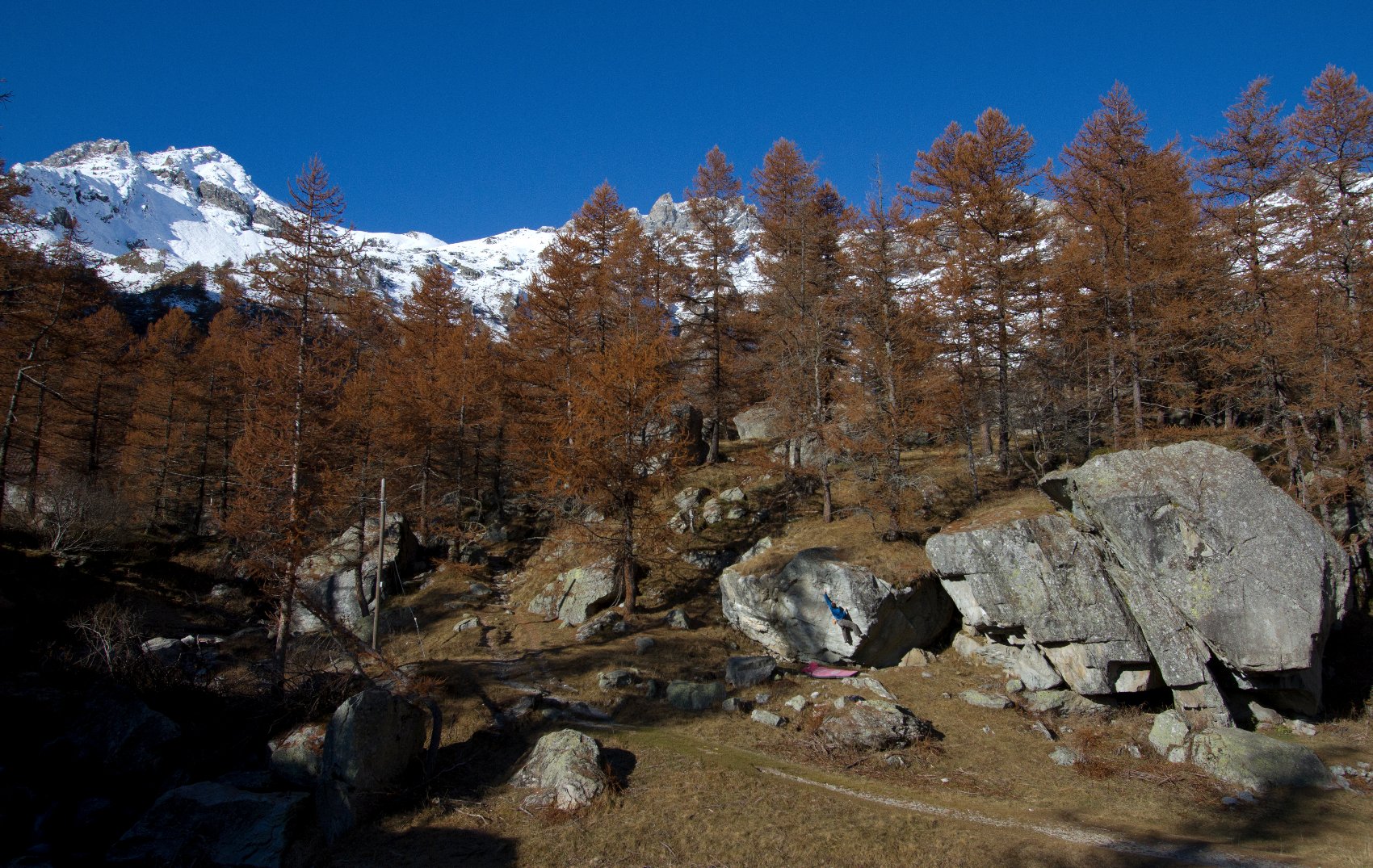 Math Sémiond   Levi   Sir Wilkinson 6c (2)